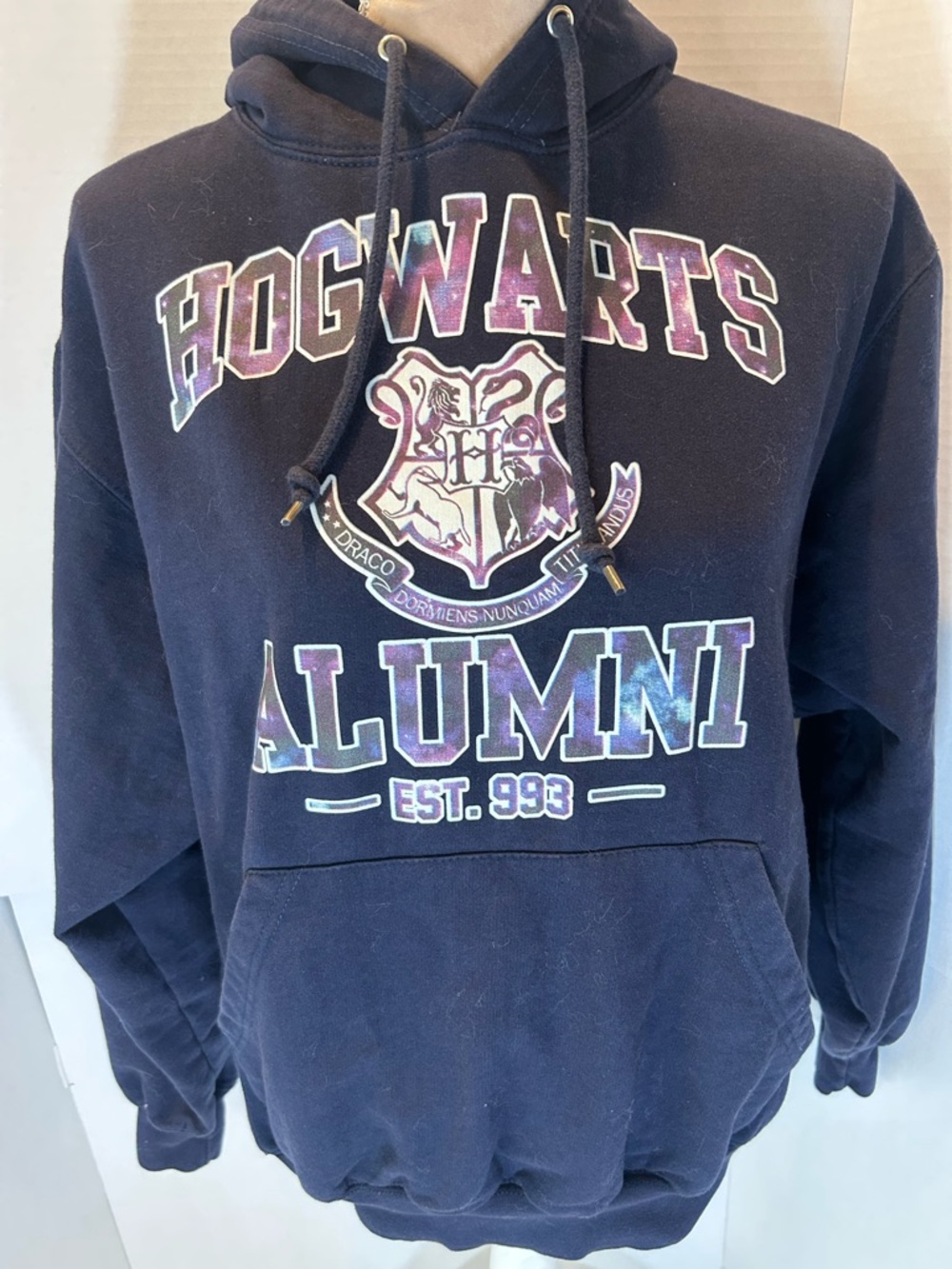 Hogwarts Alumni Navy Graphic Hoodie